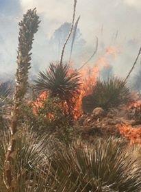 June 3rd, 2015: Treasure Mountain Fire