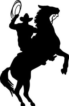 June 4th, 2015: Wild, Wild West Pro Rodeo