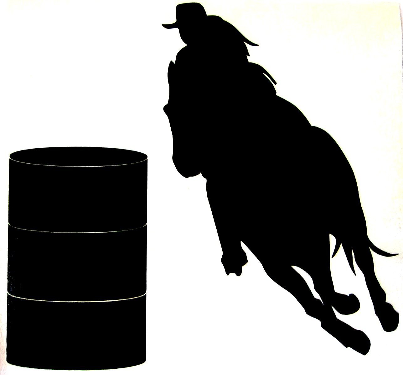 Wild Wild West Pro Rodeo Friday, June 3rd, 2016