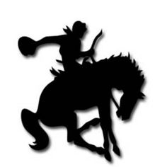 Wild, Wild West Pro Rodeo Final Night Saturday, June 3rd, 2017