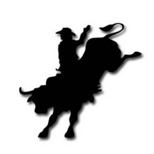 June 3rd, 2015: Wild, Wild West Pro Rodeo