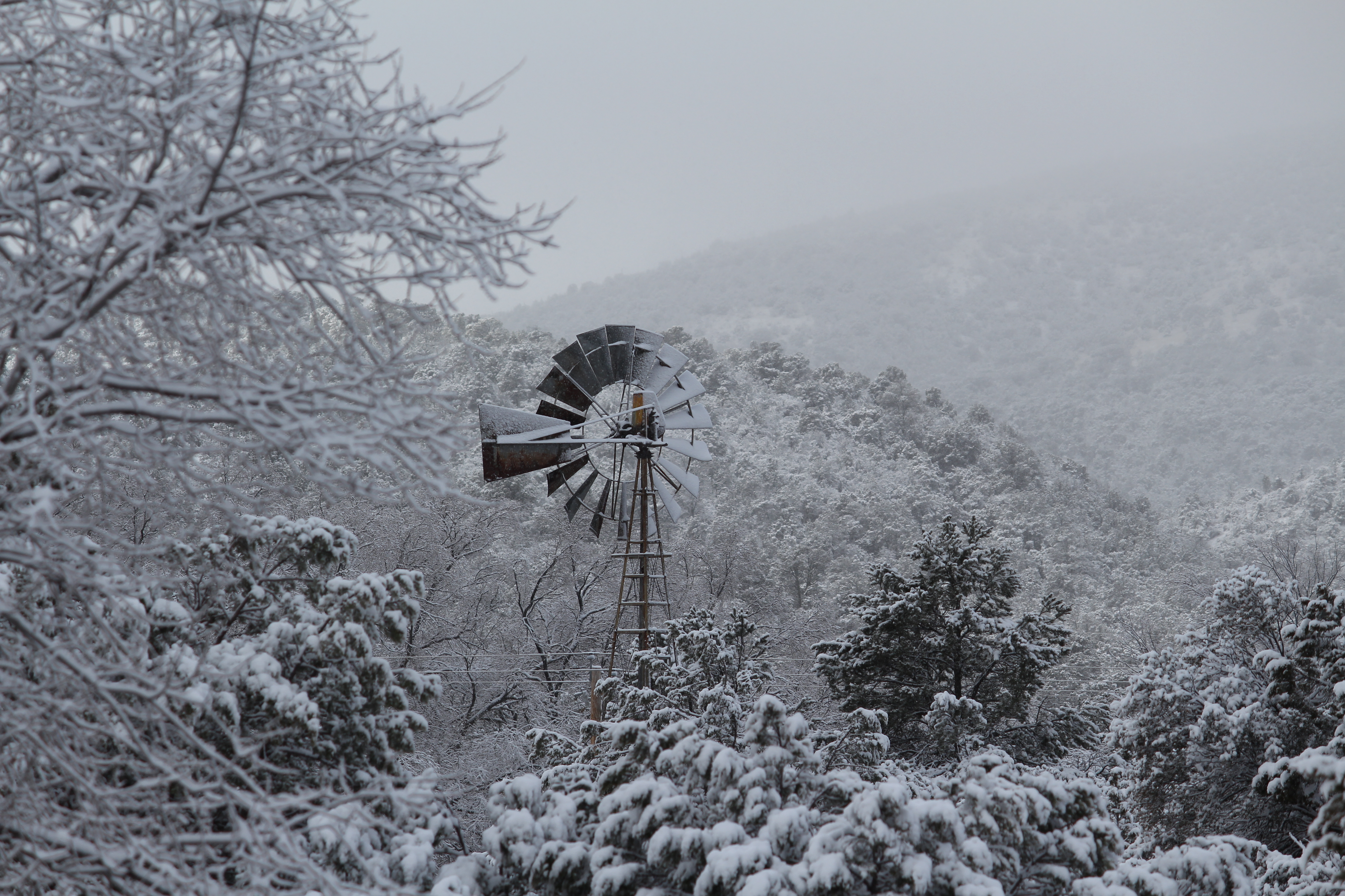 February 1st, 2016: Snow in Silver City