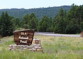 Slash Pile Burn Planned for Glenwood Ranger District