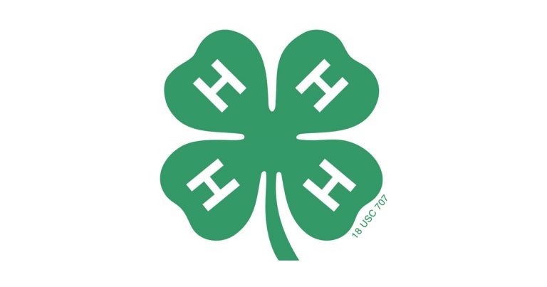 Grant County 4-H Community Service Projects