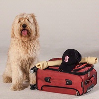 Red Roof Inn VIP Pass – Pets Stay Free!