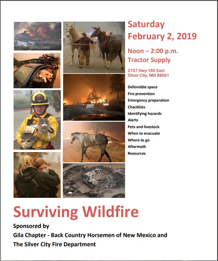 Free Surviving Wildfire Event
