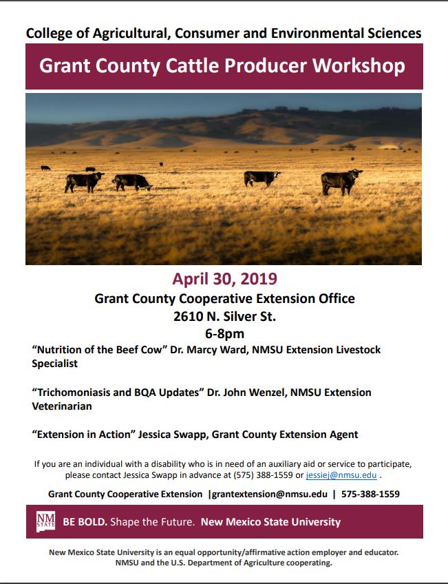Cattle Workshop