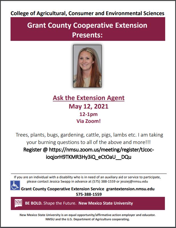 “Ask the Extension Agent” Free Zoom Event