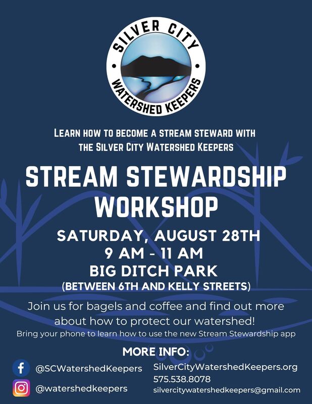 Steam Stewardship Workshop