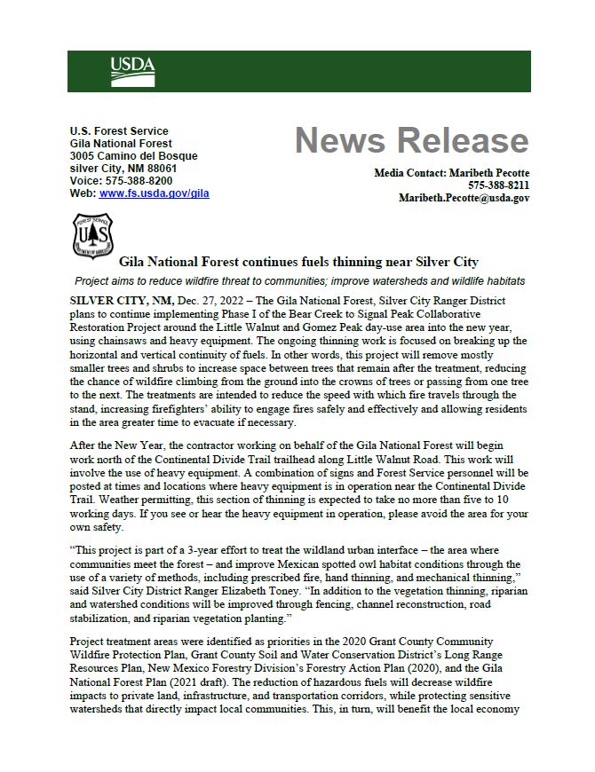 Gila National Forest Fuel Thinning Near Silver City