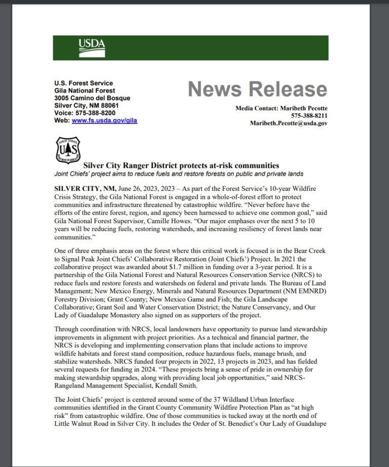 Silver City Ranger District Project