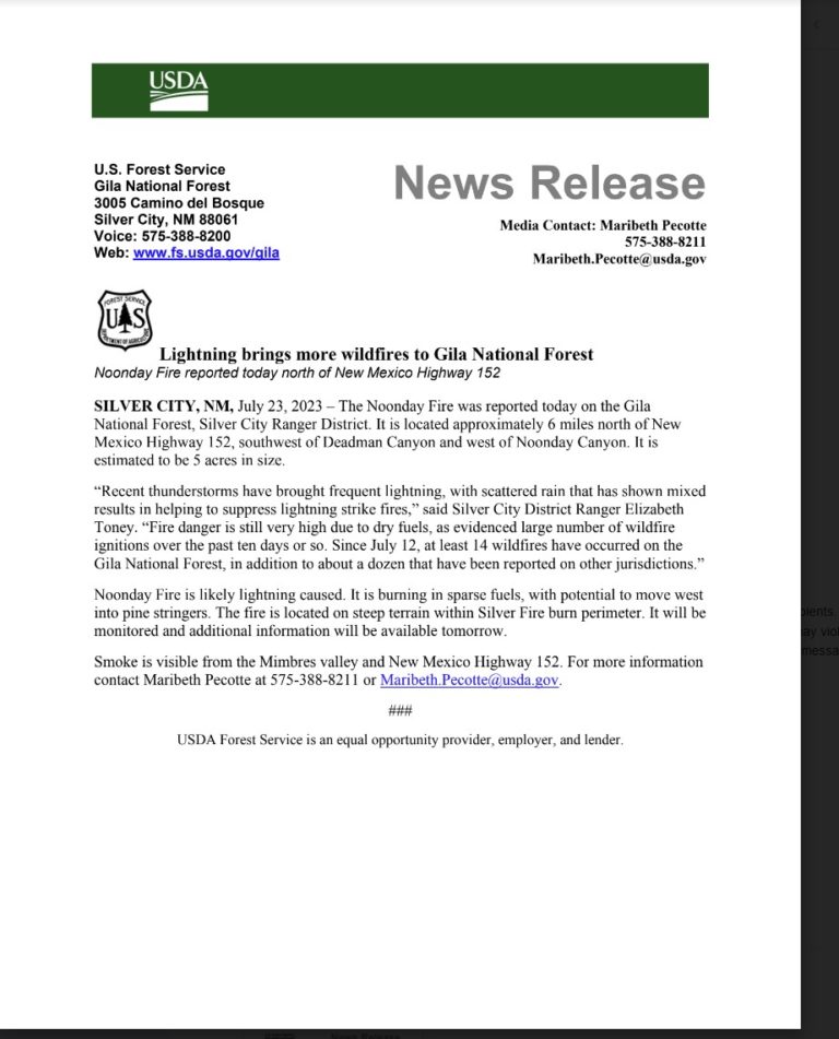 Lightning brings more wildfires to Gila National Forest
