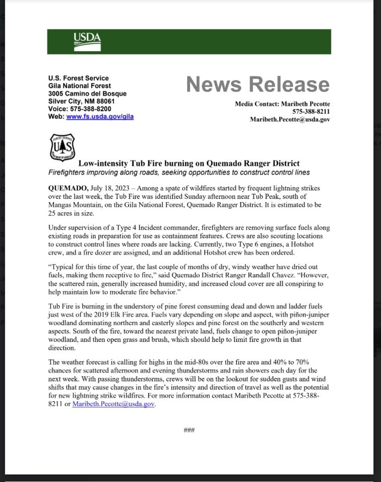 Low-intensity Tub Fire burning on Quemado Ranger District
