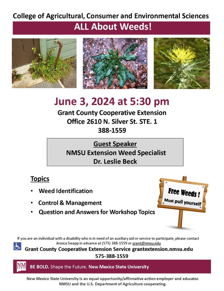 All About Weeds!