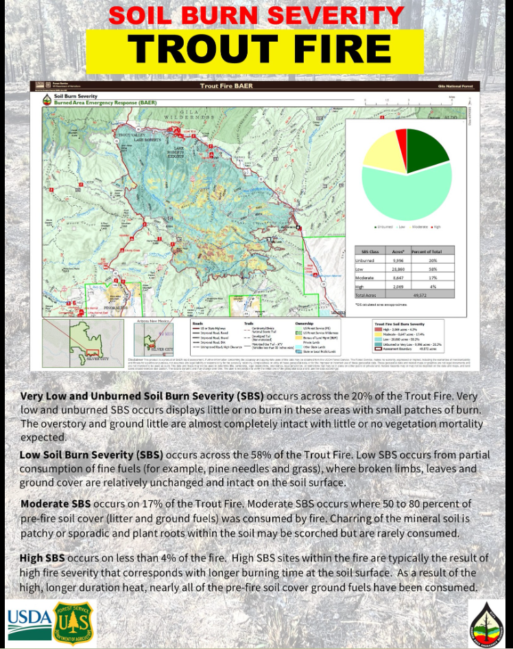 Trout Fire Soil Burn Severity