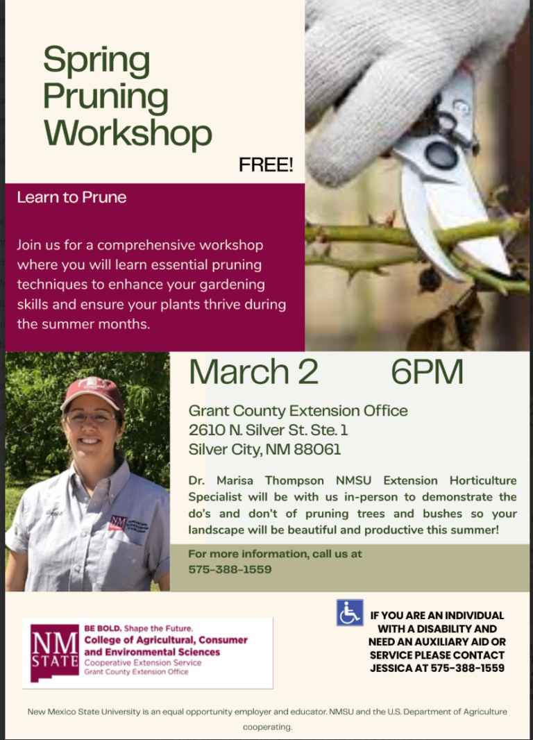 Pruning Workshop