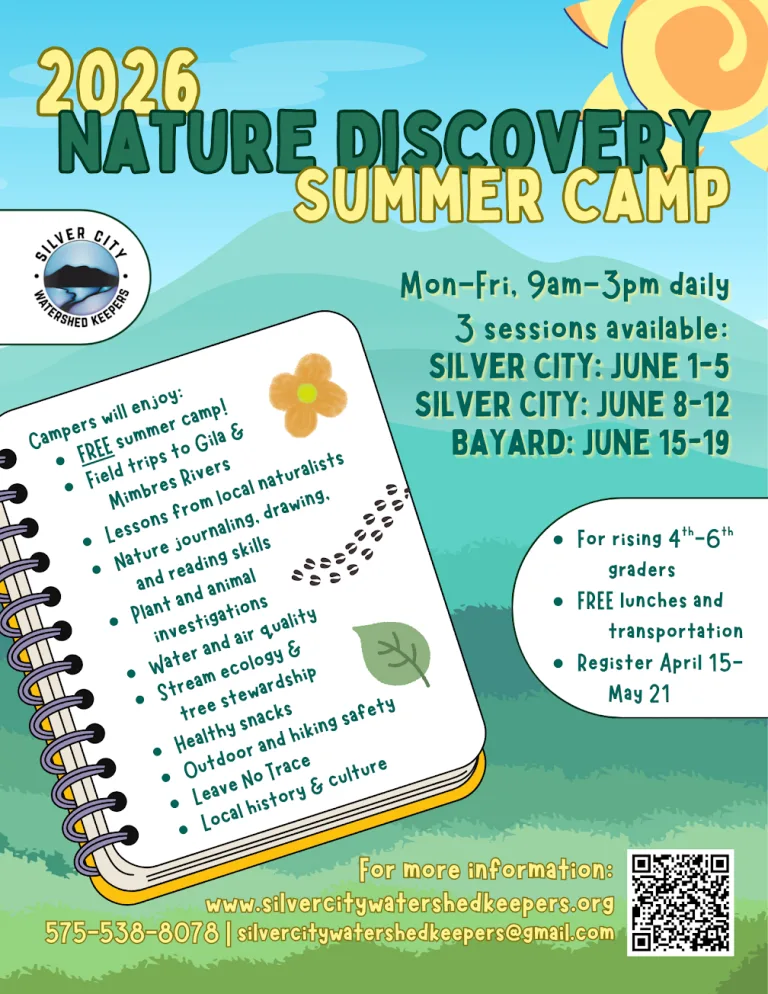 Nature Discovery Summer Camp