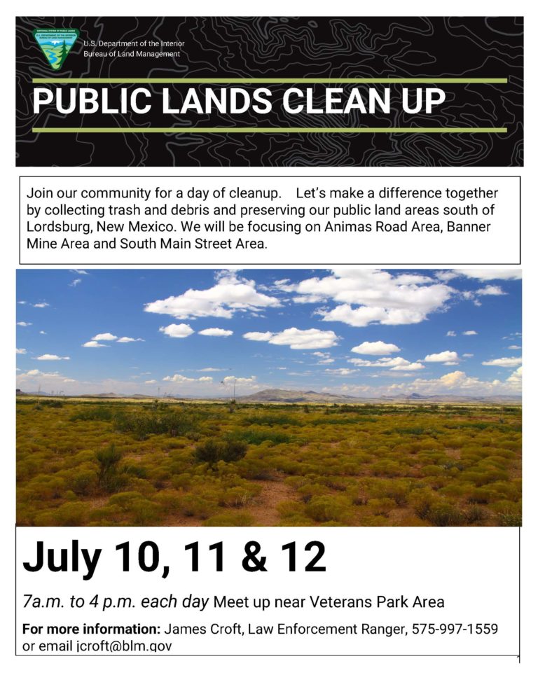 Lordsburg Public Lands Cleanup